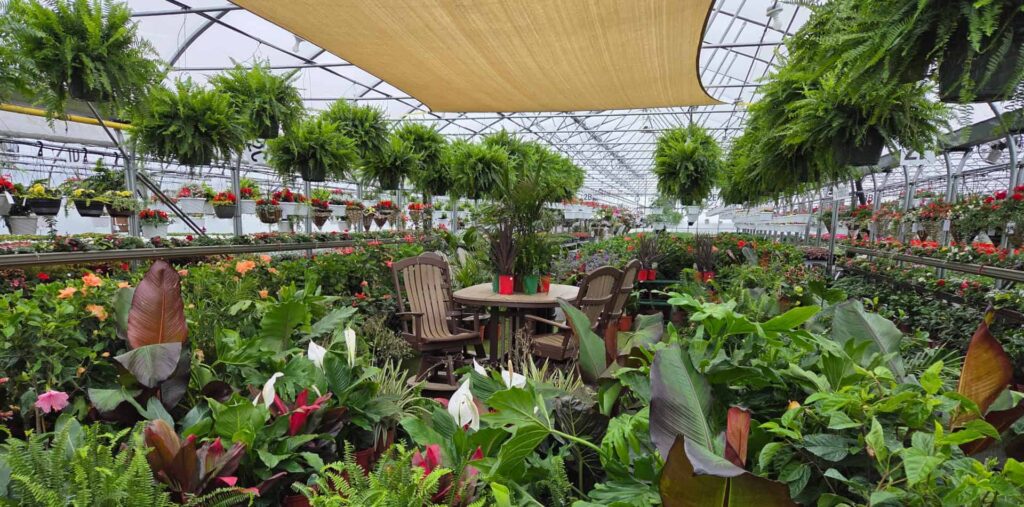 Zimmerman's Produce Green House
