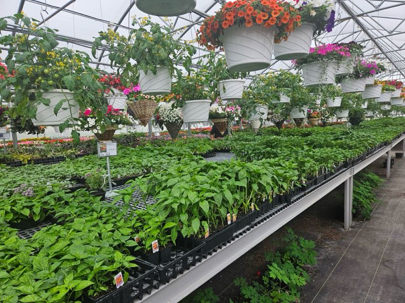 Zimmerman's Produce Green House