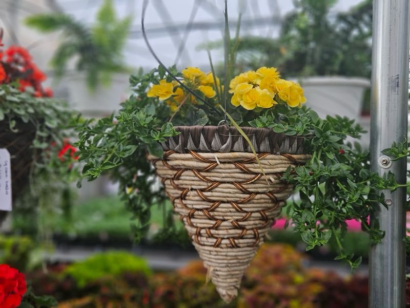 Zimmerman's Produce - Flowers from the Green House