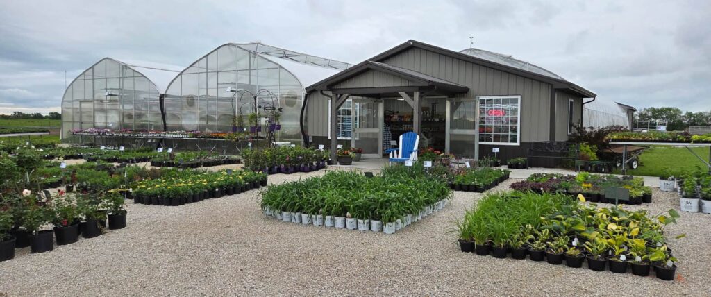 Zimmerman's Produce - Green House